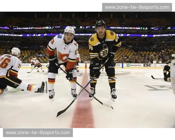 战报NHL：冰上硝烟中的实时战报与深度解读